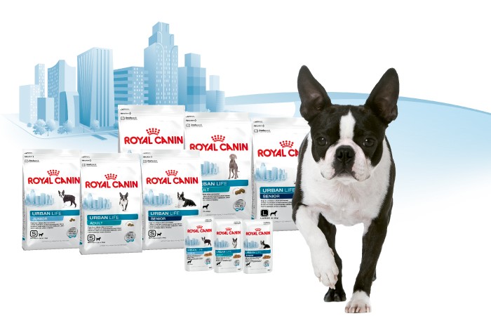 Royal Canin - Urban Life