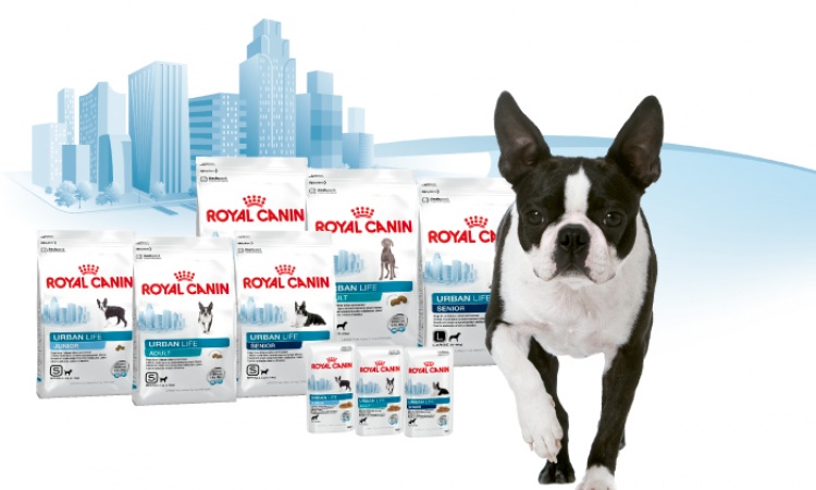 Royal Canin - Urban Life