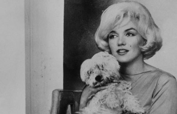 Marilyn Monroe a jej štvornohí miláčikovia