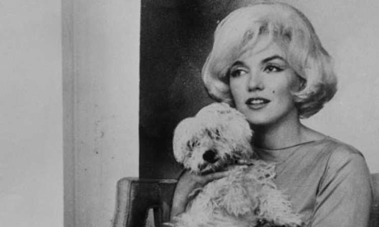 Marilyn Monroe a jej štvornohí miláčikovia