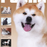 Fauna