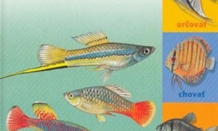 Akváriové ryby